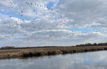 Biebrzaski - dom nad Biebrzą - Foto 48