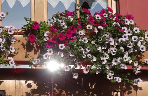 Albingers Landhaus - Photo 68