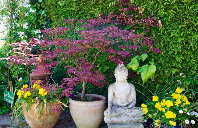 Malvern Holiday Garden Flat - Photo 25