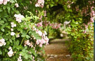 Clos Mirabel Manor - Holiday rental - Foto 66