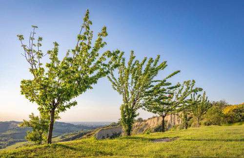 Agriturismo La Querciola - Foto 20