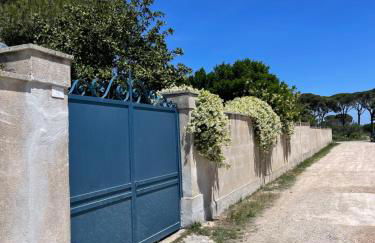 Midori-an 緑庵 - The Garden - Foto 64