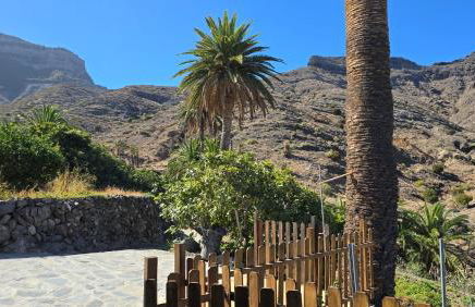 Galeón Ossorio Vistas Panoramicas - Foto 11