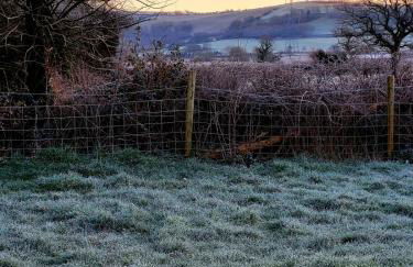 Sunrise Shepherd's Hut - Photo 15