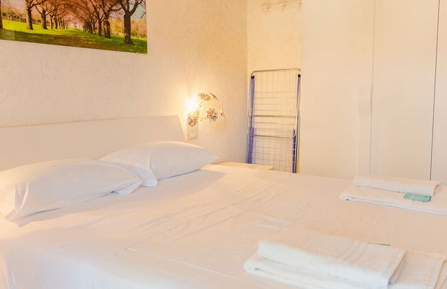 Il Sogno di Vall - Italian Homing - Photo 5