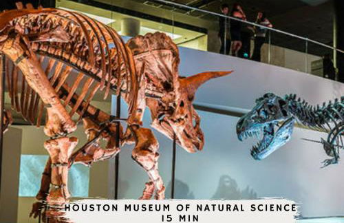 3BD Historic Charm x Modern Amenities w Hot Tub - Foto 44