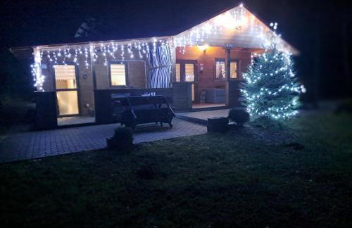 Domki Borowiackie nad brzegiem jeziora - Foto 8