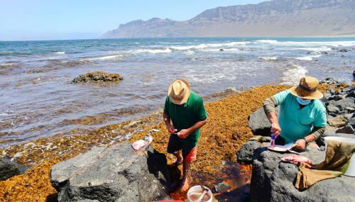 Luxury Buenavista Famara - Foto 4