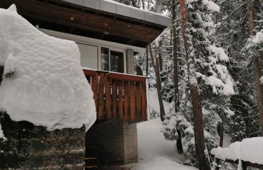 Chalet nel bosco - Photo 23