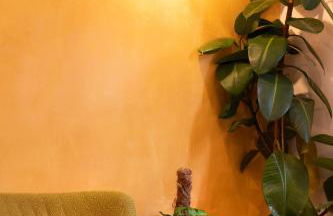 Haus in Spay an der Mosel mit Sauna - Foto 29