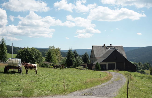 Cozy Ore Mountain Chalet - Foto 40