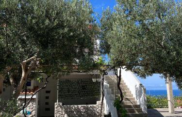 Apartmani "Nikola" Seaview - Ivan Dolac, Hvar - Foto 38