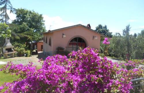 Agriturismo Il Loghino - Foto 12