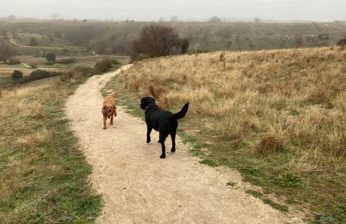 Casa El Encuentro - Turégano Segovia - Foto 40