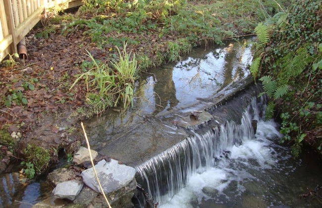 Willow Cottage at Sound Healing Centre - Foto 10