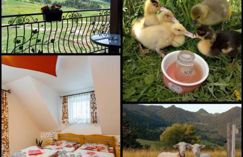 Agroturystyka Pod Zamczyskiem - Photo 2