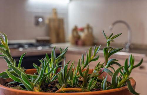 Podere la Fornace - Foto 35