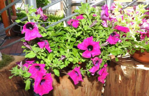 Sweet Home Suite - Foto 50