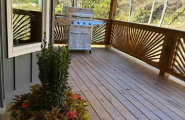 Mountain Cabin & Creek-Front Nature Retreat NC - Foto 34