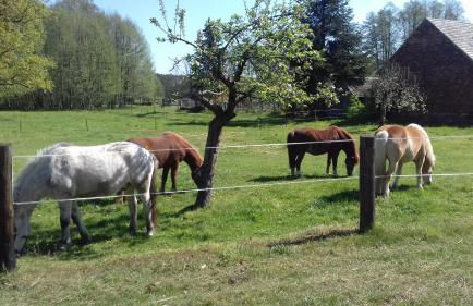 Ferienwohnung Wildau-Wentdorf - Photo 9