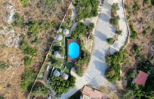 Ktima Nikolaos - Foto 64