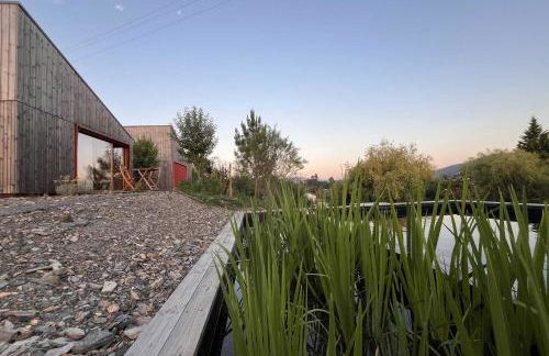 Natura Natura - Foto 31