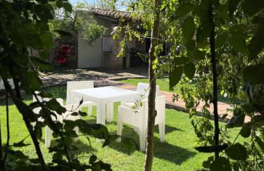 El Secanet - Foto 17