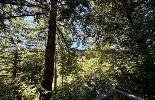 Cedar Valley Lodge - Foto 2