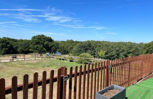 Oak Valley Lodges & Camping - Foto 33