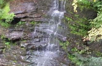 Rv Site 50amp Back-in up to 34Ft - Foto 10