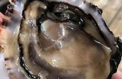 Casa di Nonni - Foto 11