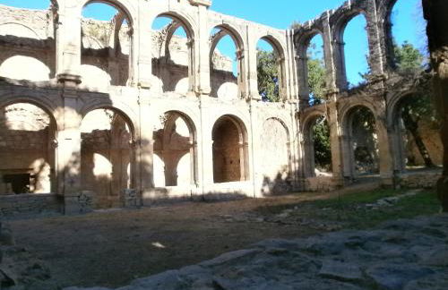 La Canaleja - Photo 17