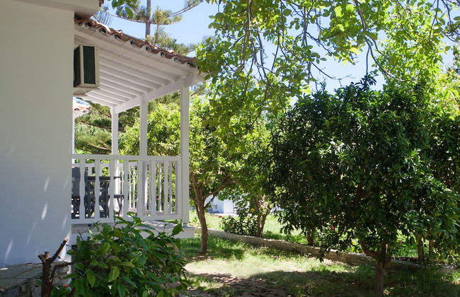 3 Goddesses - Foto 22