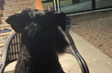 Casa RODA - Photo 18