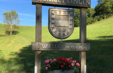 Wohnung im Herzen des Steinatals - Foto 23