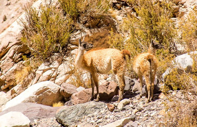 Laguna Blanca Private Trip - Photo 7
