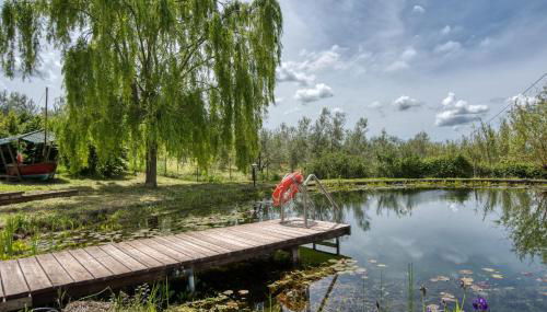 Gorgeous Home In Farnese - Foto 5