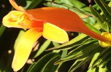 El Mirador - Foto 37