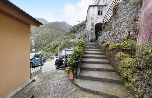 Green Cactus House - Foto 28