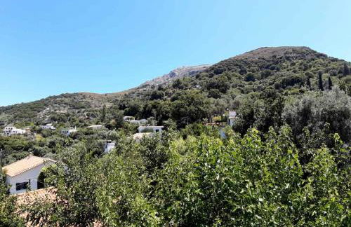 Traditional house in Akamatra square - Photo 31