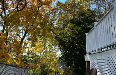 Boston Single Family House - 19' Train to Back Bay - Foto 33