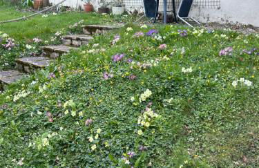 Fernhill Retreat - Photo 5