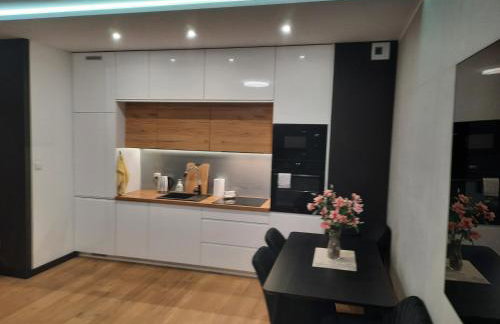 APARTAMENT KOŚCIUSZKi 54 - Foto 12