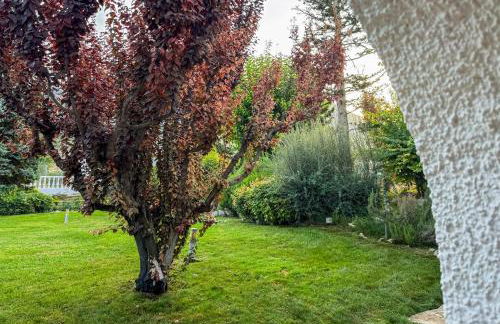 Complejo El Molinico - Foto 6