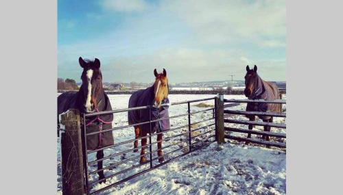 Phil's Cottage Sleeps 2 one dog by prior permission - Foto 4