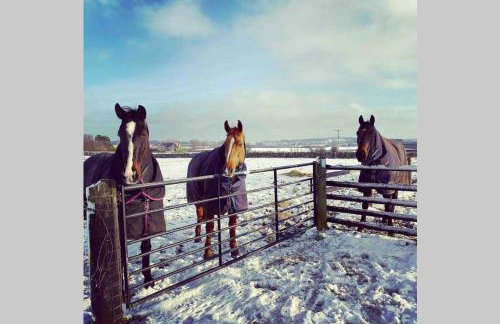 Phil's Cottage Sleeps 2 one dog by prior permission - Photo 4