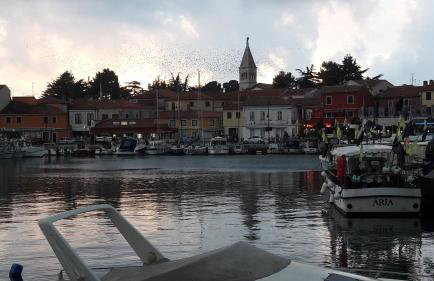 App Sorgo - Photo 50