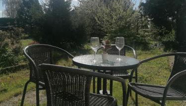 Ferienwohnung IV Sarrebriese - Photo 5, Garden, Garden view