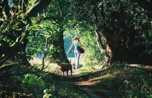 Rose Cottage rural cosiness with footpaths to the local Macro Brewery Pub - Foto 24