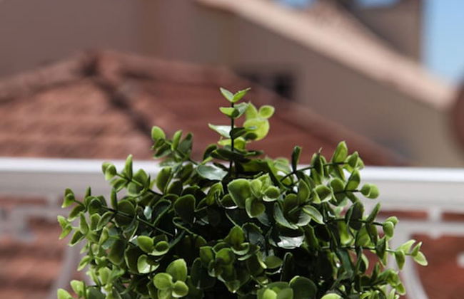 Fashionable & modern apartment Cascais - Photo 25